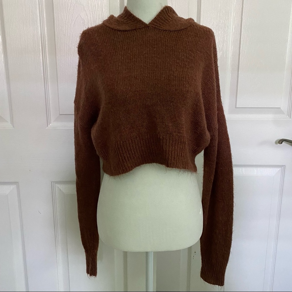 BOGO Free Pins & Needles Hooded Sweater
